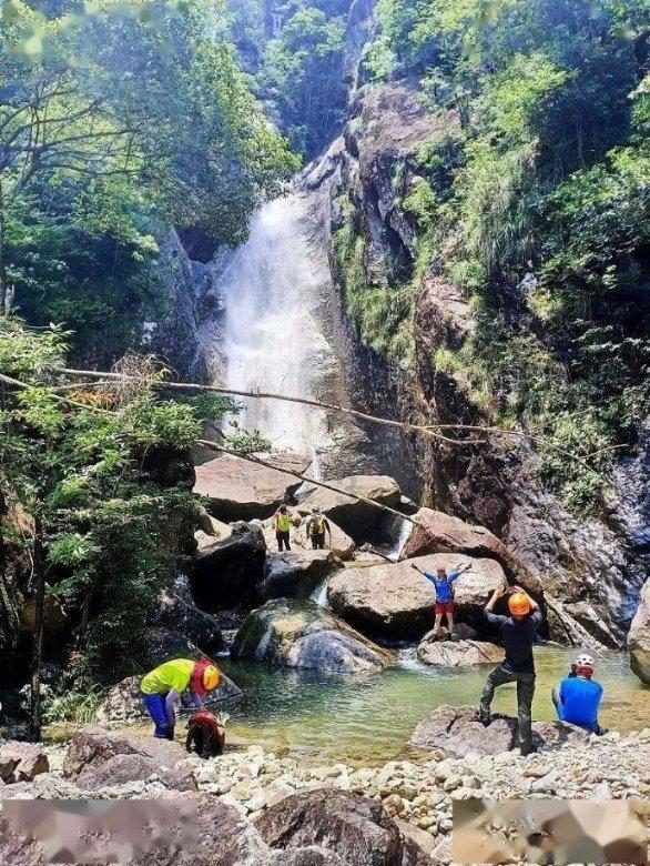 两车相撞 一女子当场昏迷！陵水警民联合救助……